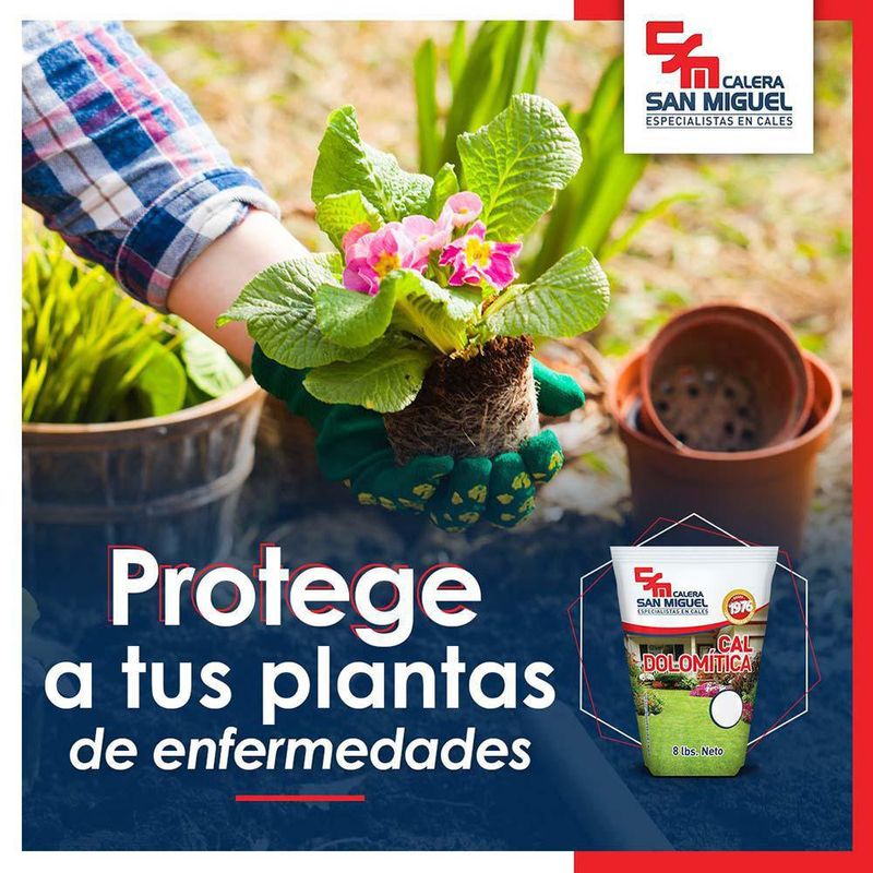 Cal Dolomítica 8 Lb - Calera San Miguel, S.A.