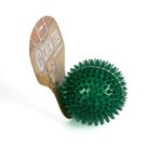Pelota De Goma De Juguete Para Perro Verde - Bonita Pet