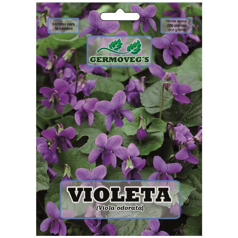 Semilla De Violeta - Garden Elite
