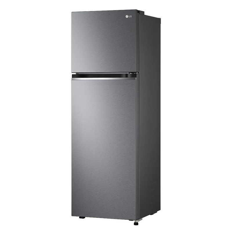 Refrigerador Top Freezer 10 Pies Cúbicos Smart Inverter - Lg