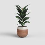 Maceta Antheia Terracota 20  Cm - Artevasi