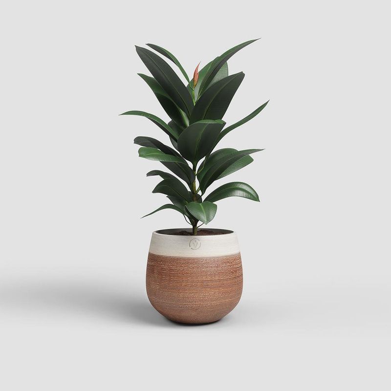 Maceta Antheia Terracota 20  Cm - Artevasi