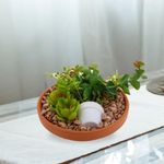 Planta Artificial Mix Suculentas Con Maceta Caída Color Barro 16 X 8.5 Cm - Concepts