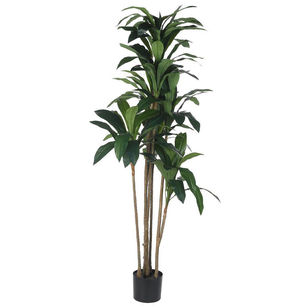 Planta Natural Sansevieria Con Maceta 30X20 Cm - Orquideas Sym - Cemaco