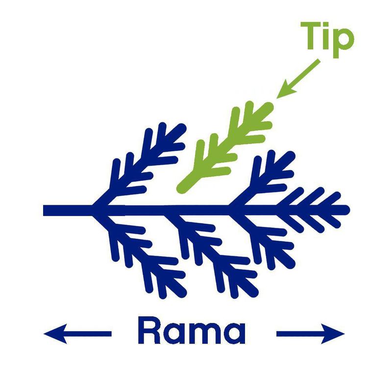 Árbol Rustic Mix con Bayas Y Conos 9 Pies 1570 Tips - Scandi