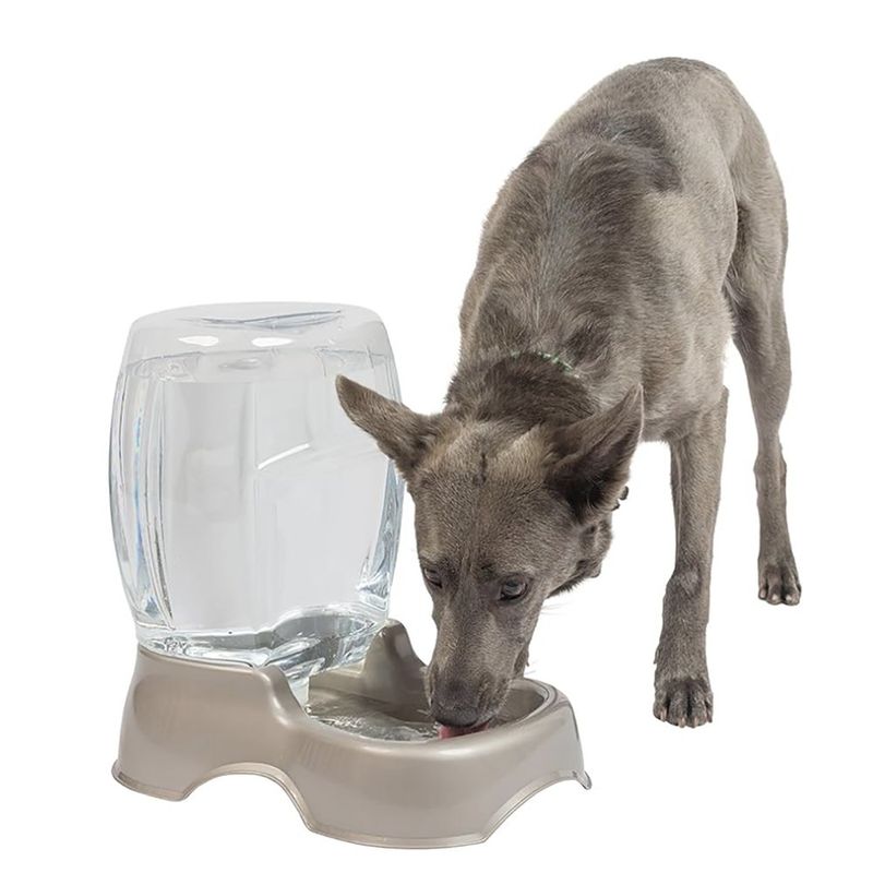 Dispensador de agua de pie para mascotas de 16.9 fl oz para perros y gatos,  2 en 1 desmontable altura ajustable sin goteo, dispensador de agua de pie