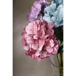 Hortensia 68 Cm Colores Surtidos - Concepts