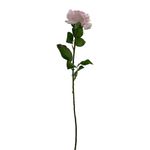 Rosa Rosada 67.3 Cm - Concepts