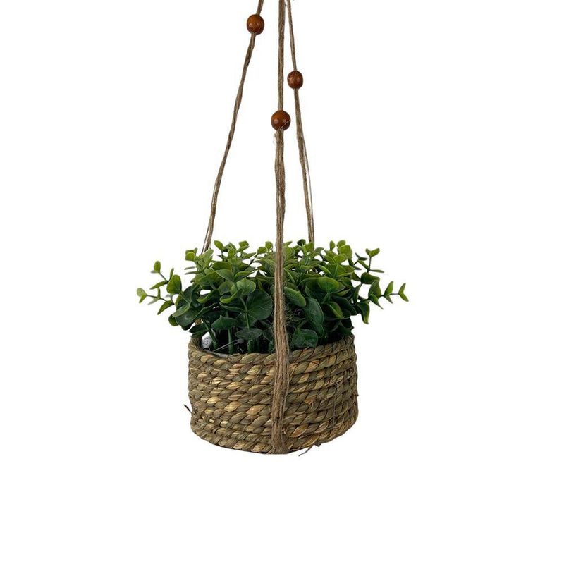 Planta Colgante con Pote 18X18X15 Cm - Concepts