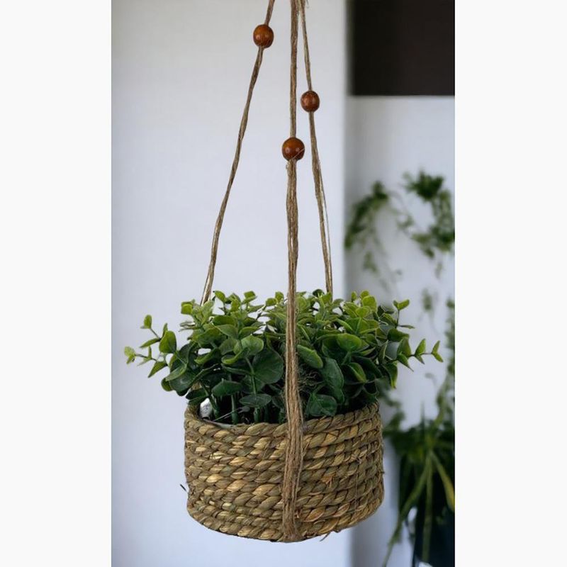 Planta Colgante con Pote 18X18X15 Cm - Concepts