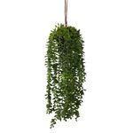 Planta Colgante Verde con Pote 28X28X60 Cm - Concepts