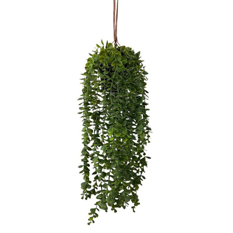 Planta Colgante Verde con Pote 28X28X60 Cm - Concepts