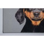Alfombra de Entrada Diseño Perro Dóberman 80X50X2 Cm - Viva