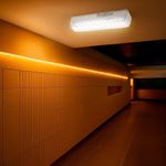 Lámpara de Emergencia Recargable de 255 Lm