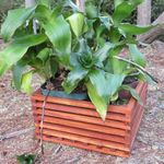 Maceta-Colgante-De-Madera-Cafe-30.5X16-Cm---Fixer