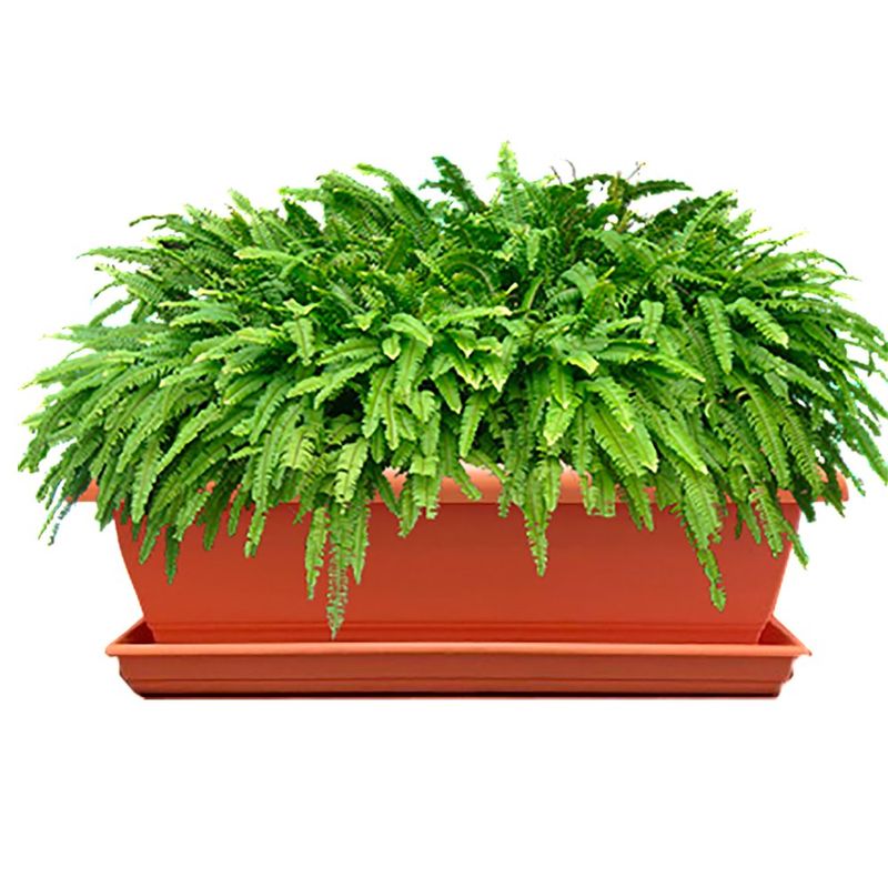 Maceta Plástica Rectangular Terracota - Spartaplast Varios Tamaños