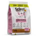 Concentrado-Select-Mama-Gata-y-Gatitos-1.5-Kg---Monello