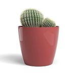Maceta-San-Remo-Pot-Glossy-Rojo-Oscuro-42-Cm---Artevasi