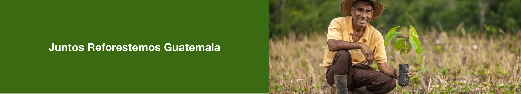 Juntos Reforestemos Guatemala