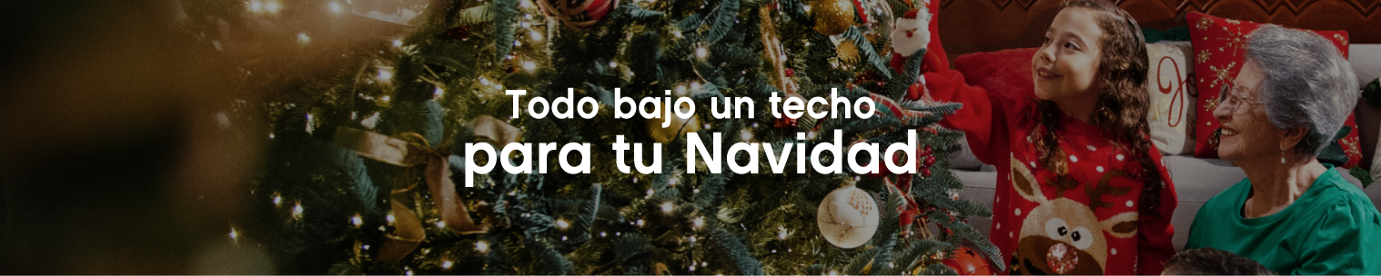 Todo bajo un techo para Navidad