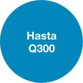 Hasta Q300