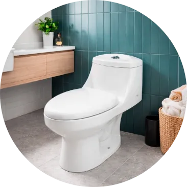 Repara y organiza tu baño con sanitarios, accesorios y soluciones para renovar este espacio.