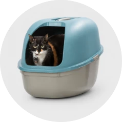 Encuentra areneros y accesorios que ayudan a mantener la comodidad e higiene de tu gato.