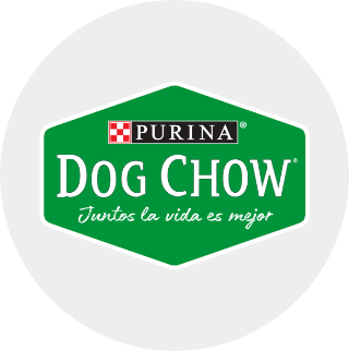 dow chow
